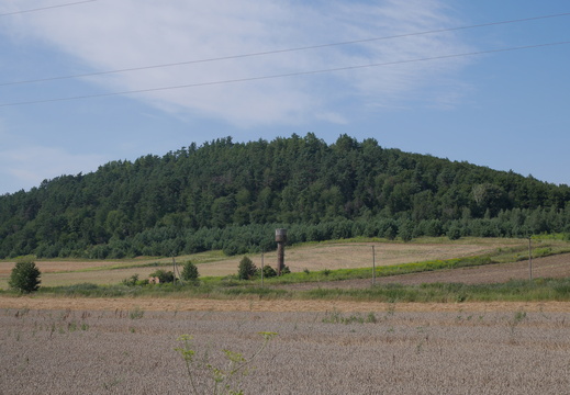 Башня перед лісом